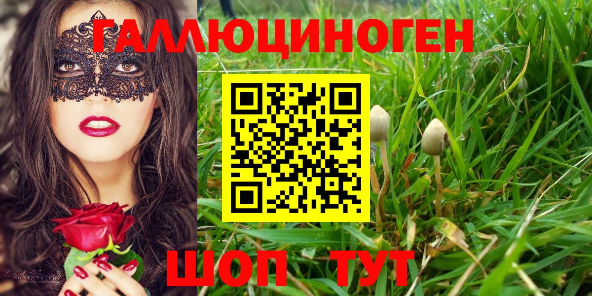 Галлюциногенные грибы Cubensis Протвино